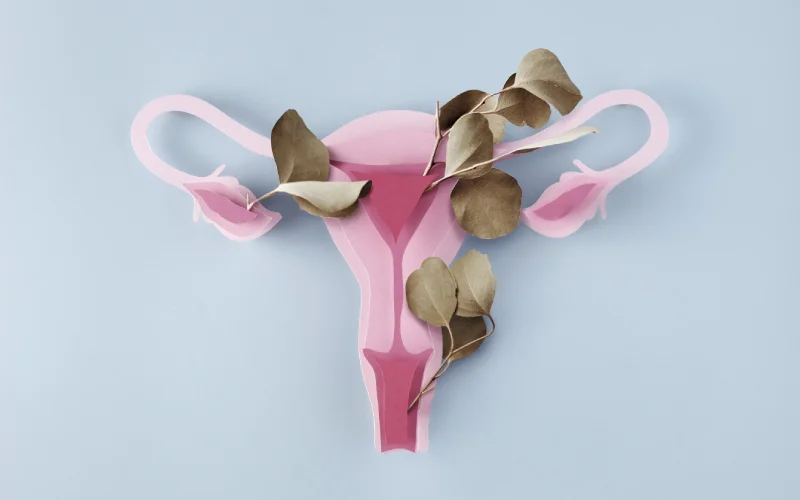 Ginecología para menopausia en Monterrey